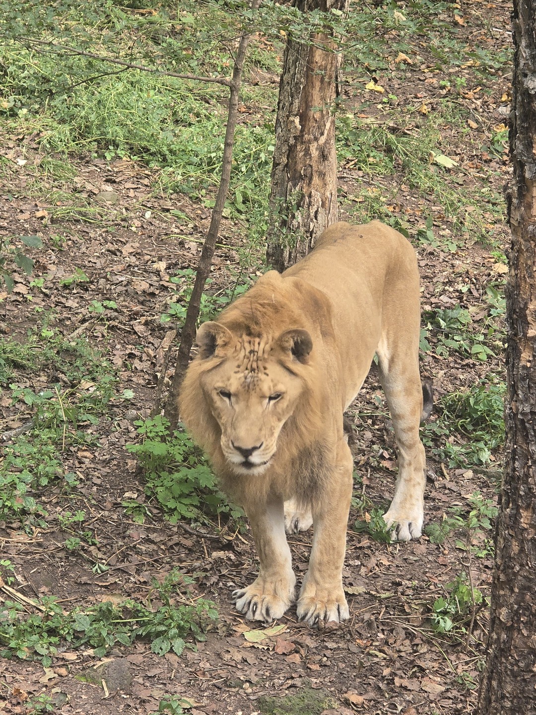 Гид/экскурсовод Анастасия