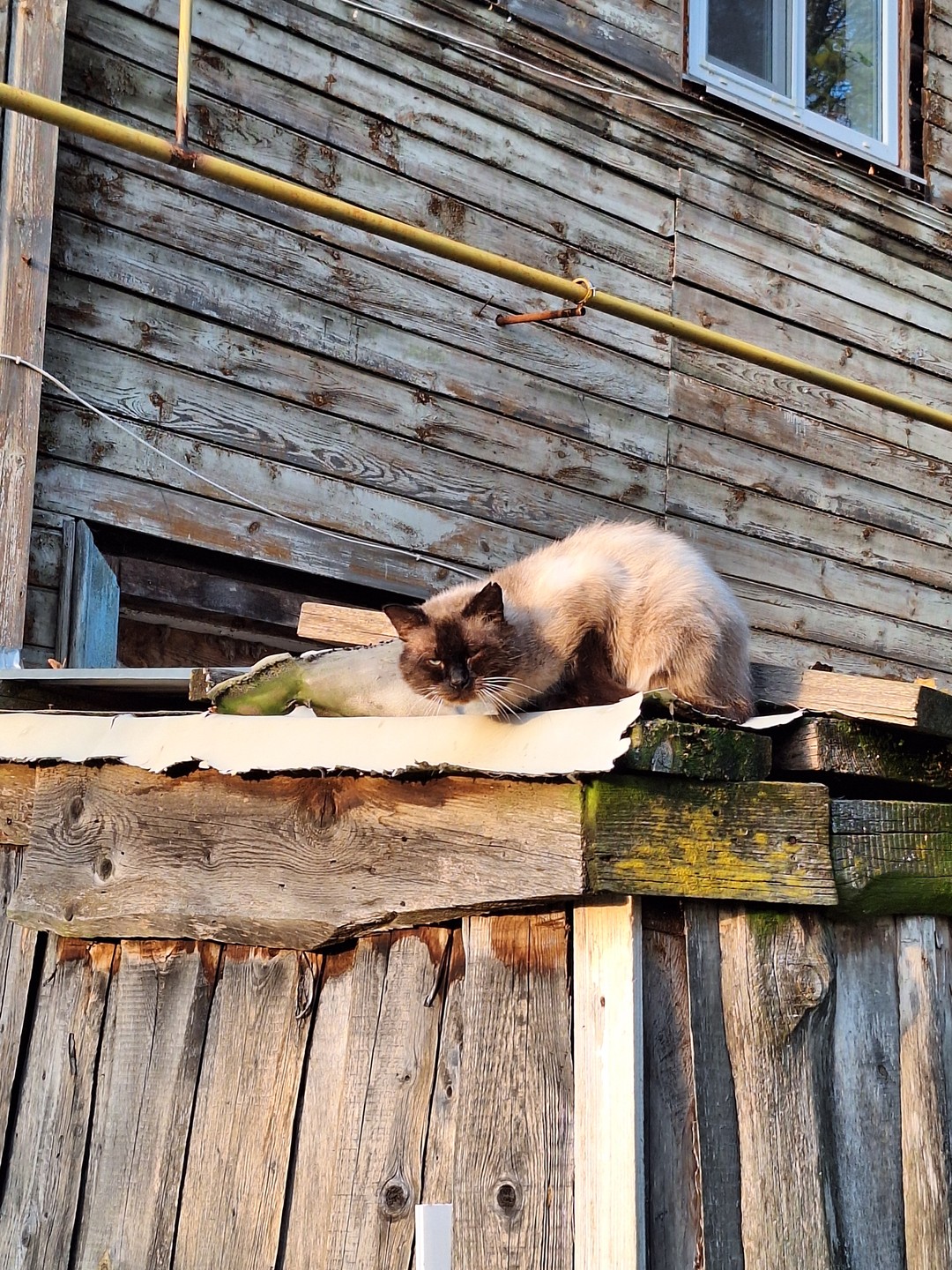 В Судогде оказались случайно. Экскурсию по городу заказали буквально за пару дней до приезда. И не