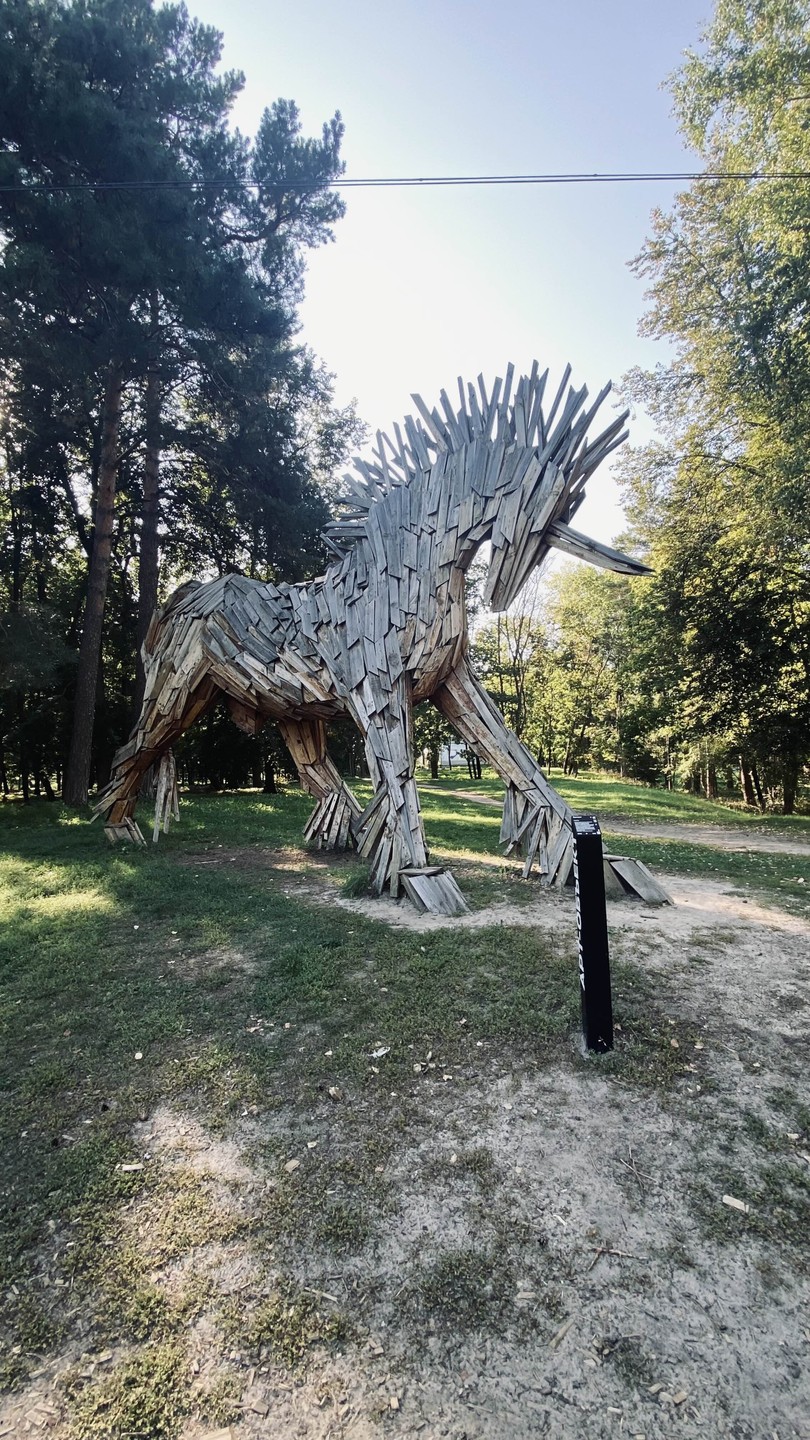 Отлично организованная экскурсия, прекрасно изложен материал, знакомящий с историей возникновения города и по настоящее время. Мы