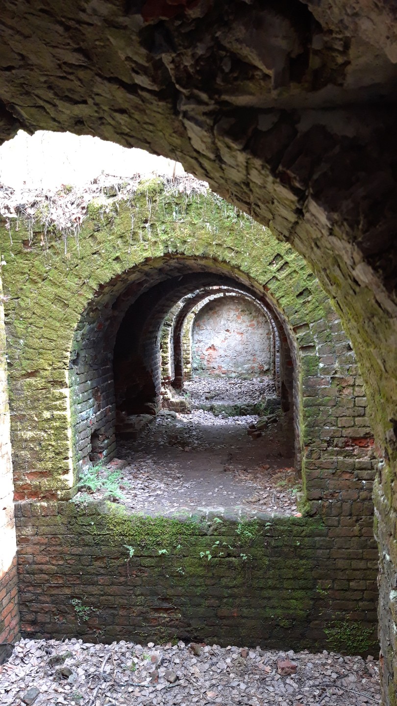 Обожаю природные экскурсии! Там заряжаешся энергией и полностью абстрагируешься от рабочих будней. Вчерашнее путешествие получилось именно