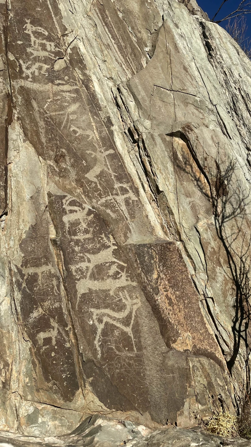 Если хочется в рамках одного тура охватить побольше локаций - вам сюда! Комфортная поездка, красивейшие места,