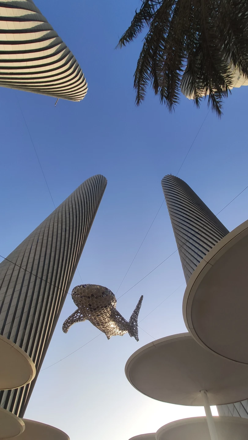 У нашей группы (20+ человек) была длительная ночная пересадка в Дохе. Искали разные варианты. Уже стало