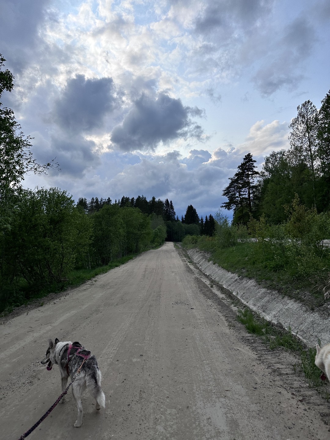 Анастасия- прекрасный гид: интересно рассказывает, выбирает незаезженные места, внимательна к пассажирам 😉 видно, что она делает