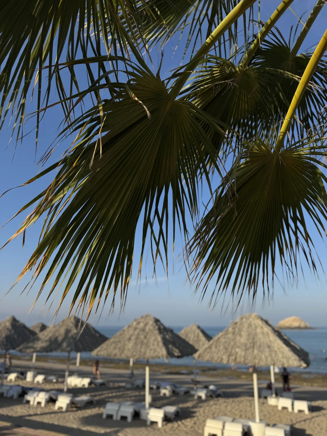 Мне очень понравилась экскурсия в Фуджейру. Отличная организация, экскурсия очень интересная, прекрасный отдых и масса новых