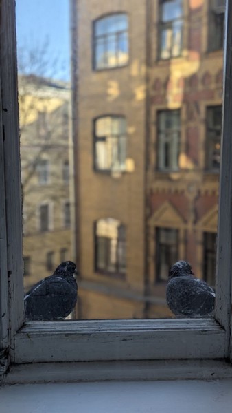 Дарья — великолепный современный (!!!) экскурсовод. Делилась неизбитыми фактами, благодаря ее рассказам можно было погрузиться в