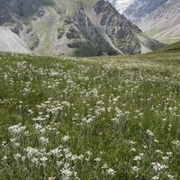 Фото отзыва 3: экскурсия "Индивидуальное путешествие по Иссык-Кулю: горы, каньоны и погружение в прошлое"
