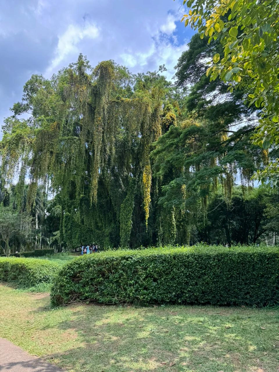 Однозначно могу рекомендовать и саму экскурсию, и гида Селестину!