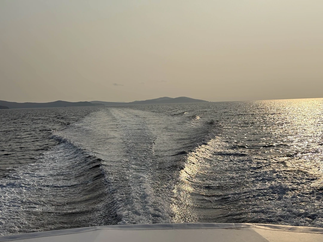 Морское приключение во Владивостоке: мыс Тобизина, котики и морепродукты (Татьяна)