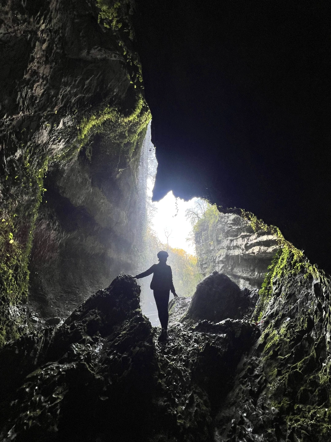Отличная прогулка по заброшенной дороге в горах Красной поляны по осенним, залитым солнцем склонам, с заездом