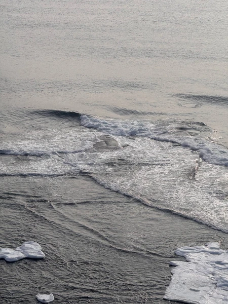 Эта экскурсия стала путешествием не только по Владивостоку, но и вглубь себя. Екатерина, словно проводник, открыла