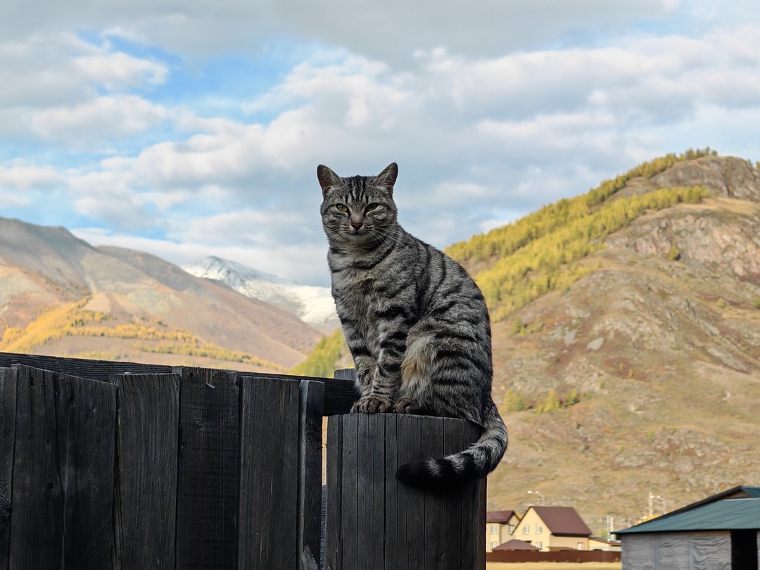 Нашим гидом был Виталий. Честно говоря, сначала расстроились, но оказалось напрасно. Гид отличный, много знает, интересно