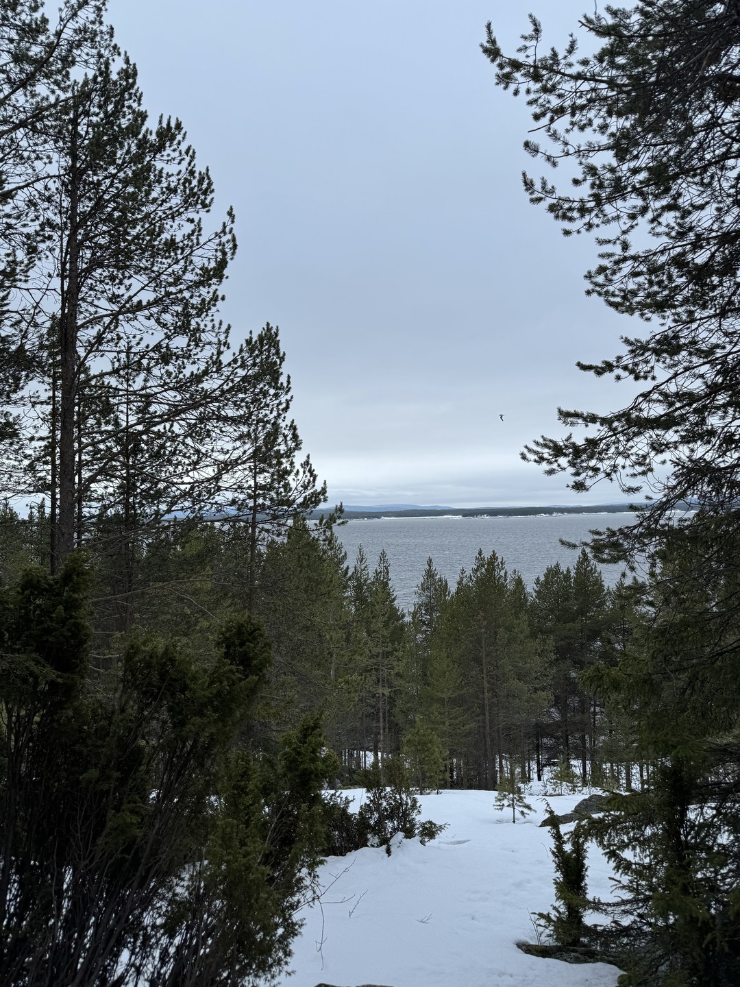 Маршрут очень живописный, природа захватывает дух, казалось, что может быть лучше, но благодаря Дмитрию это путешествие