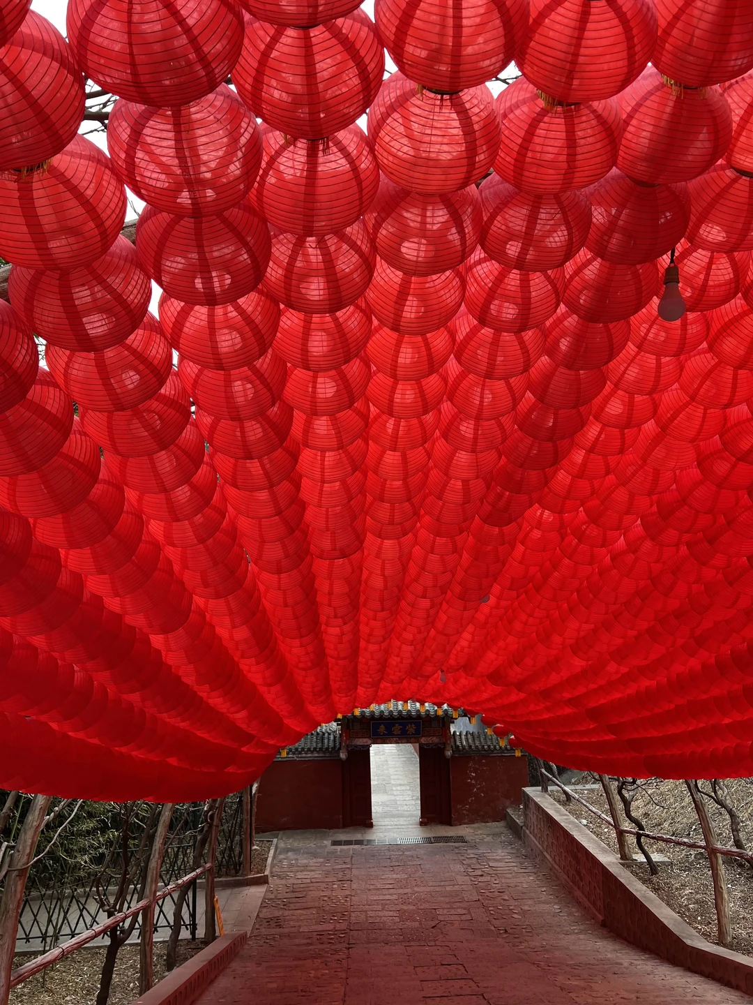 Были на экскурсии, где нам показали Великую Китайскую стену и буддийский храм Хунлуо. Было очень захватывающе