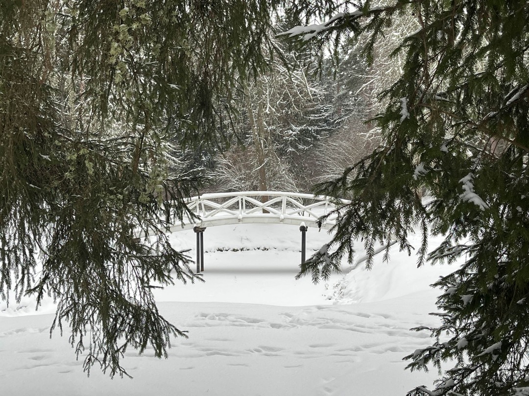 В Пушкинские Горы - в небольшой группе (Андрей)