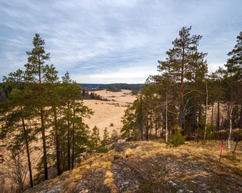 Фото отзыва 3: авторский тур "Карельский уикенд: северная природа, финский посёлок и ферма-музей"