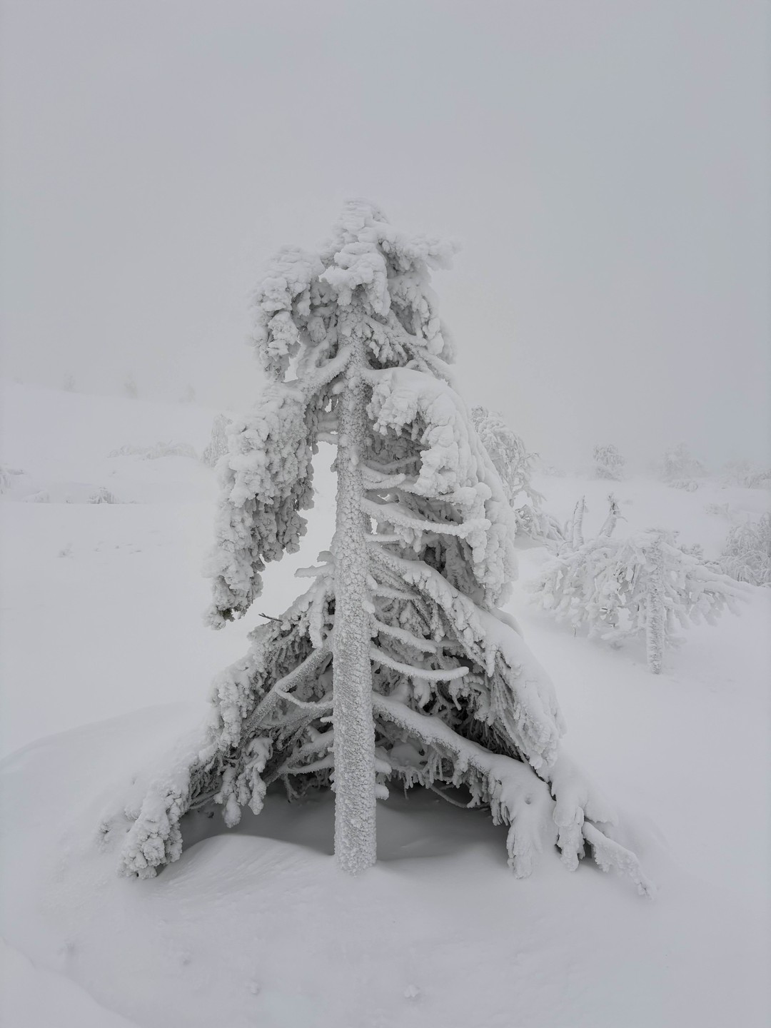 Спасибо Дмитрию за экскурсию! Самим в гору будет проблематично ходить. Рассказал интересные факты, угостил чаем. Сделали
