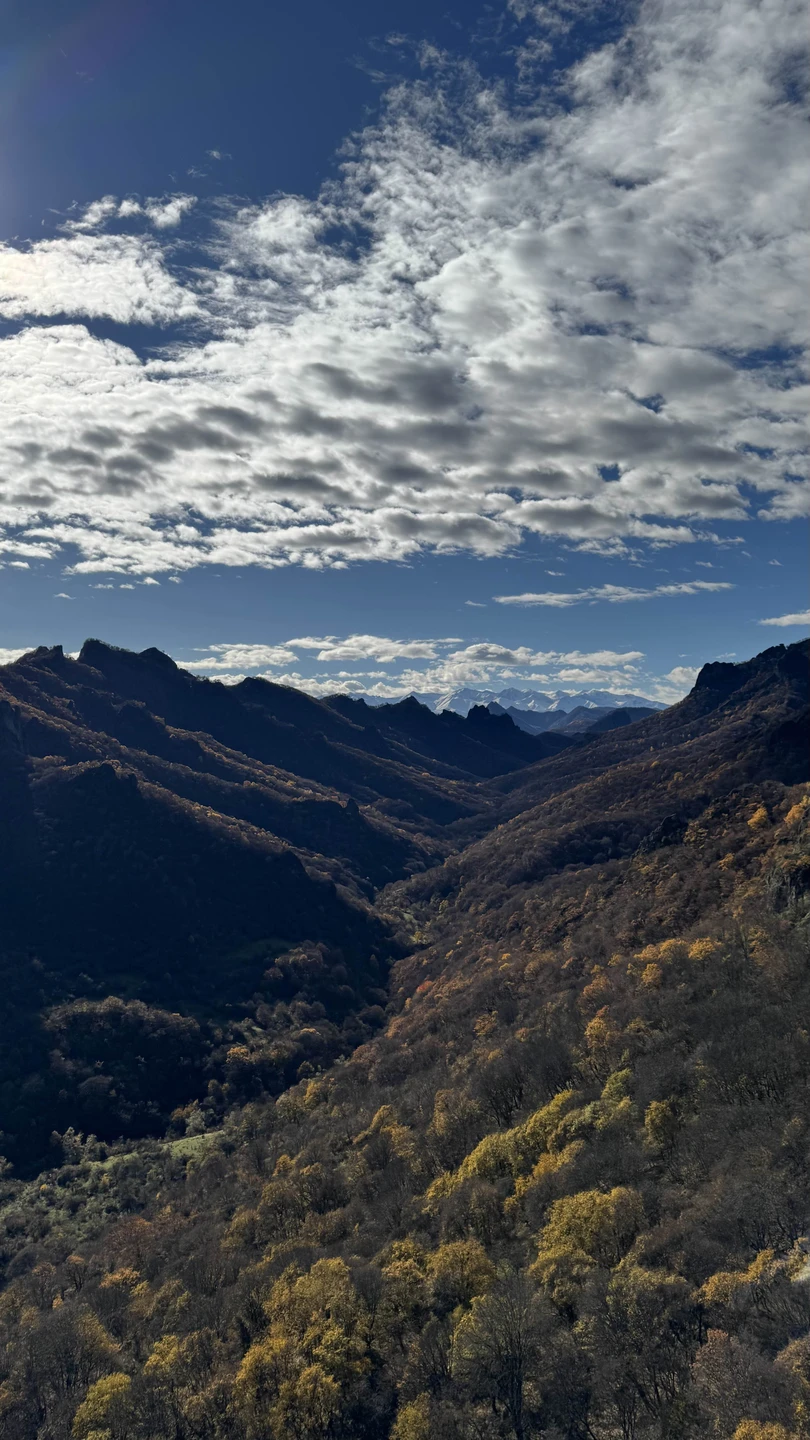 Очень приятно проведенное время. Без спешки и нервов. Прекрасная экскурсия и хороший гид-водитель Сергей. Домбай прекрасен!!!!