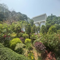 reviews img