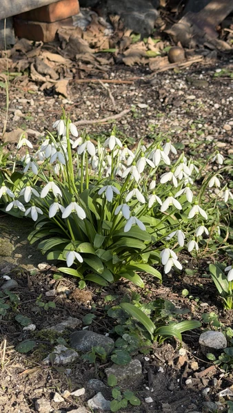 Необыкновенная Абхазия - в индивидуальном формате из Сочи (Гайворонская)