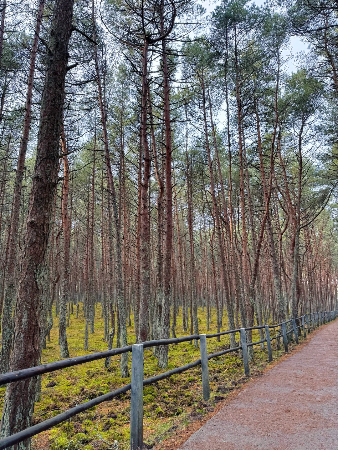 Классная экскурсия, если не учитывать факт большого количества людей, где собираются они не самые пунктуальные и весь автобус их ждёт 😂