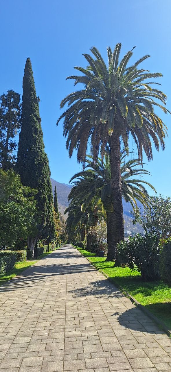 Были на экскурсии 11.03.2026. Всё понравилось. Виктор учел все наши пожелания, показал и рассказал интересные места