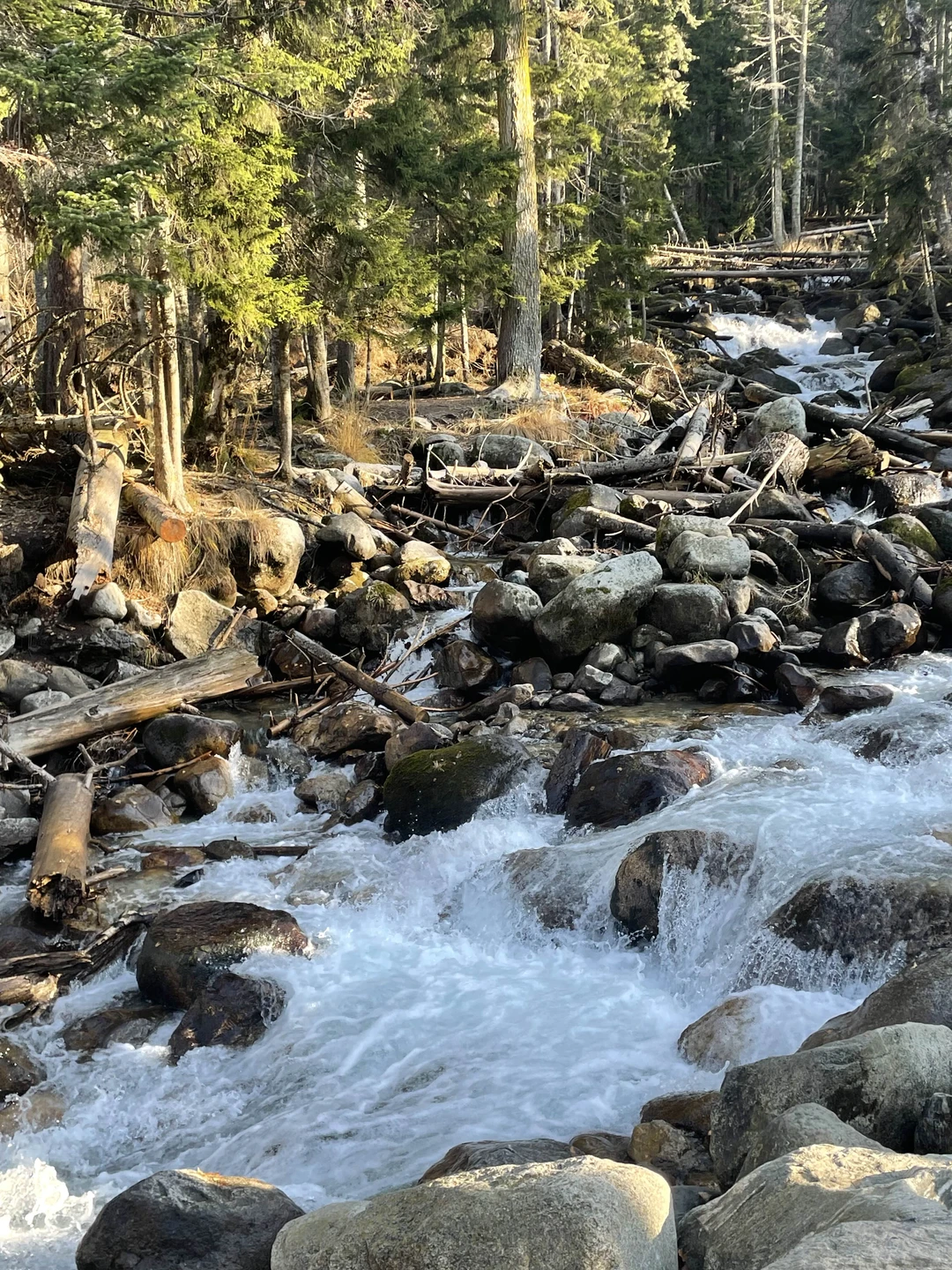 Мы остались очень довольны экскурсией. Столько эмоций за один день! Дорога к Домбаю очень живописная, куда