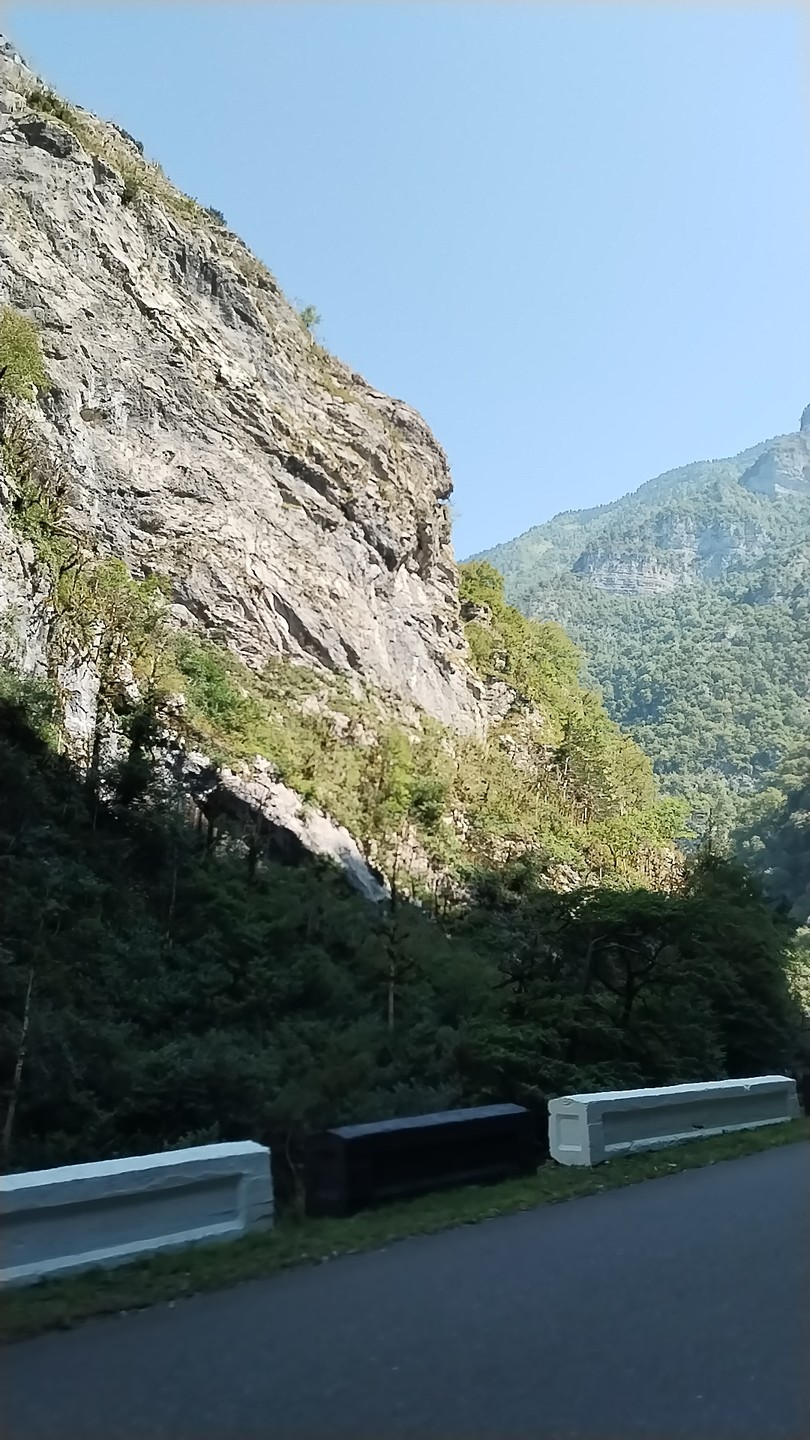 Вчера была экскурсия в Абхазию, все прошло на отлично!! Ян знает, что показать и на каких