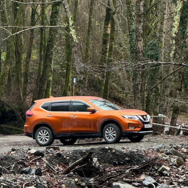 Сочи: удивись перед отъездом