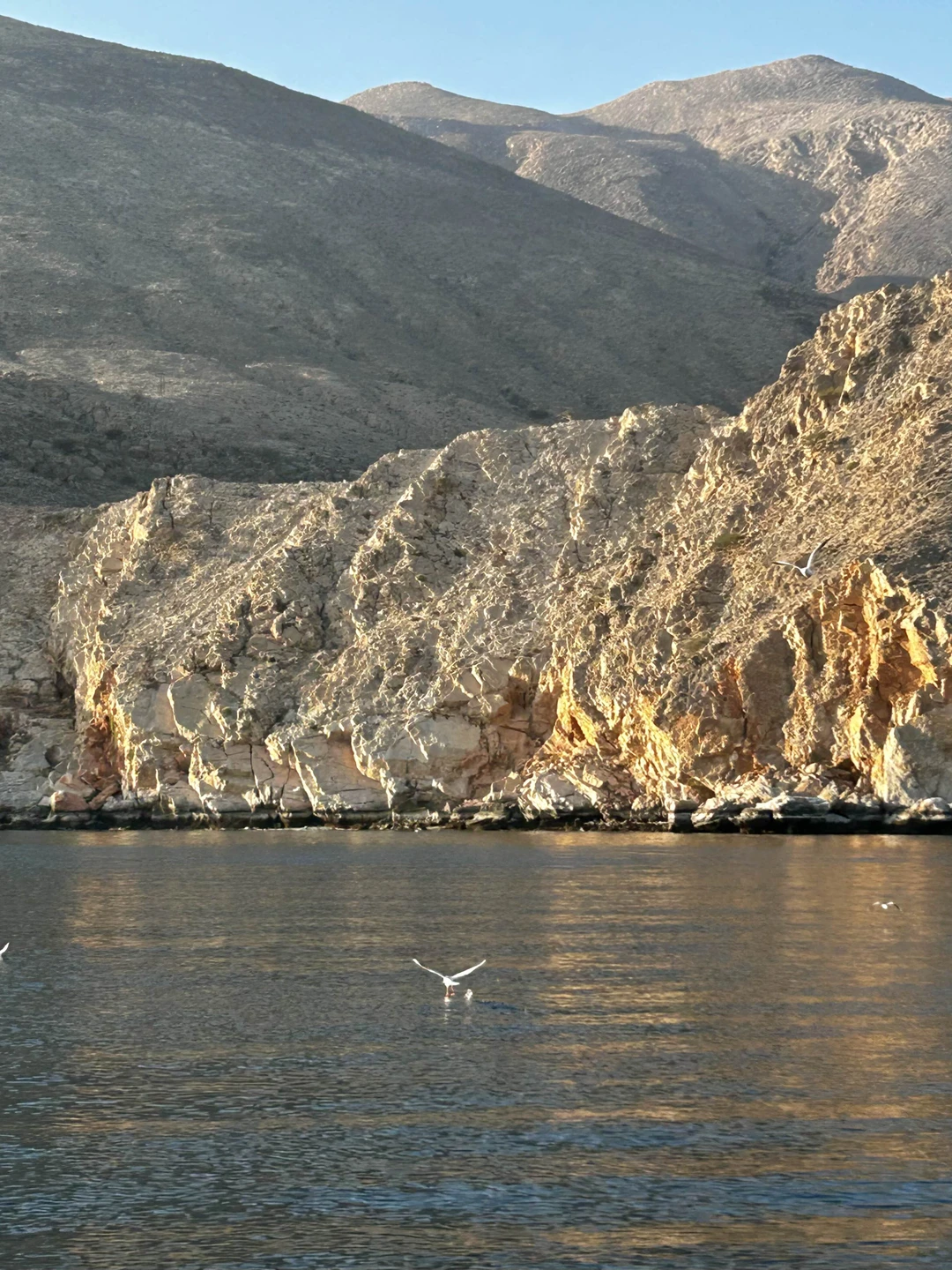 Замечательно! Отличный гид Кирилл, с которым было интересно, весело и информационно полезно. Прекрасно провели время на