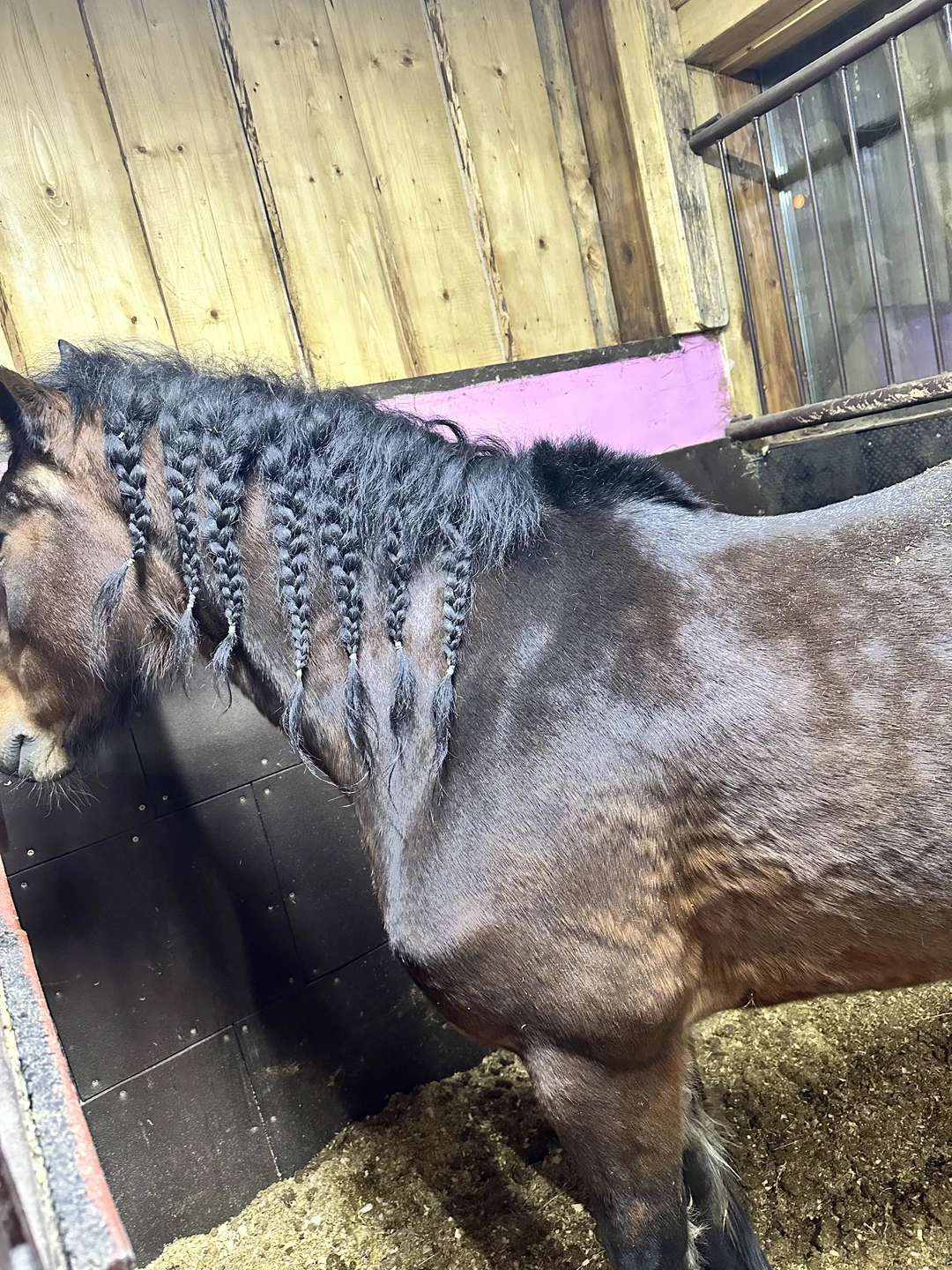 Здравствуйте! Сегодня была на экскурсии, все очень понравилось 😊