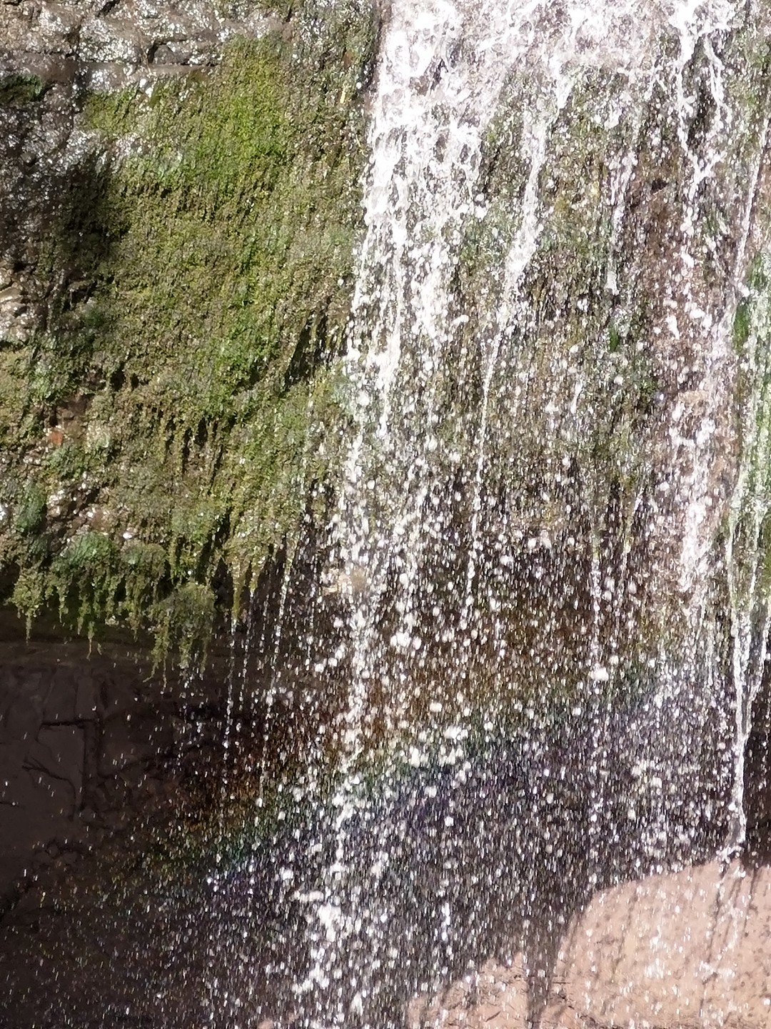 Сегодня была заключительная экскурсия во Владивостоке в этой поездке. Игорь прекрасный человек и рассказчик. День пролетел