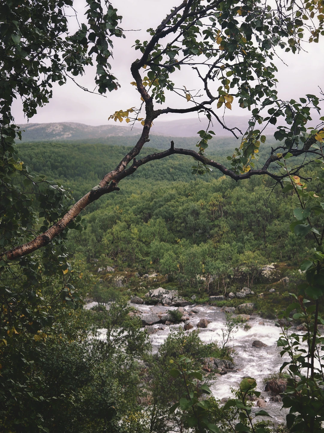 Спасибо организаторам за возможность посетить такие исключительные места относительно недорого, путешествие очень понравилось, дорога трудная из