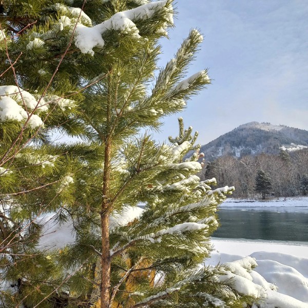 Горные перевалы и бирюзовые реки Алтая