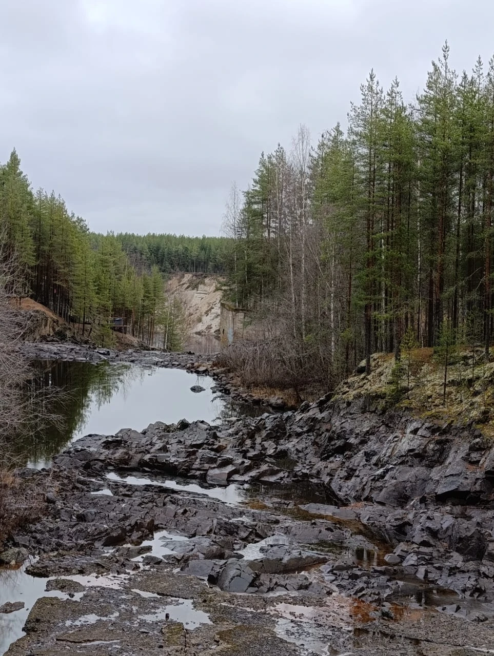 Всё отлично. Обязательно порекомендую