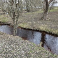 Фото отзыва 4: экскурсия "Финские истории Зеленогорска"