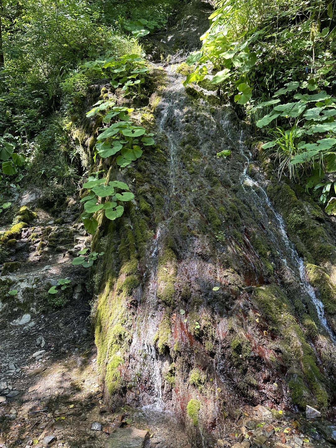Нам с мужем очень понравилась экскурсия, успели посетить очень много красивых мест, заезжали даже в незапланированные