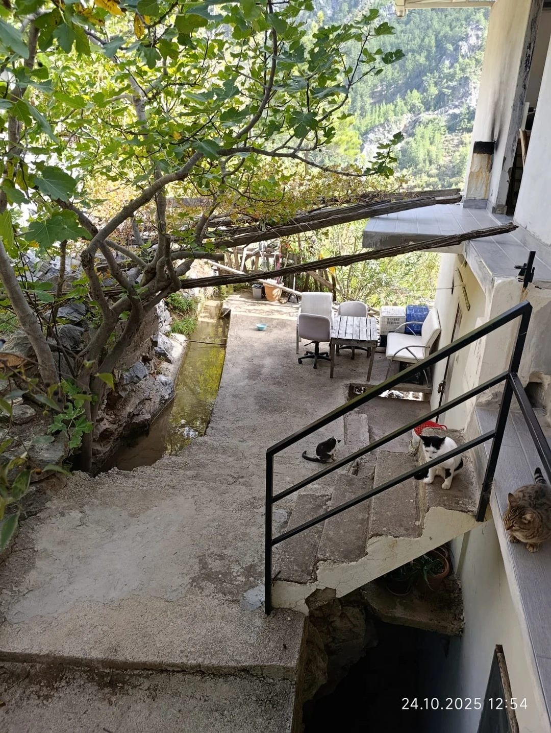 Все очень понравилось! Спасибо большое ребятам, Румяне и Богдану! Наша поездка прошла в такой душевной атмосфере 🔥