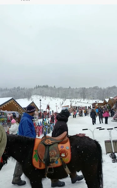 Экскурсия замечательная! Отличный минивэн, первоклассный водитель и супер-гид Джимми! Читала отзывы про него и попали к