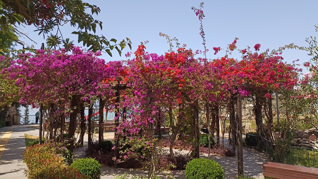 Хорошая экскурсия!