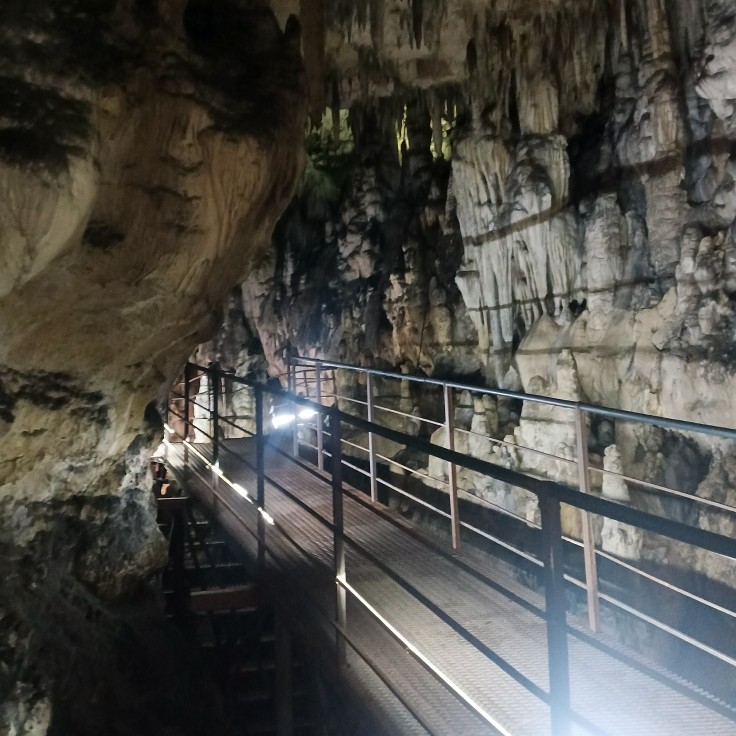 Ездили сегодня на экскурсию, все очень понравилось. Гид Азамат все очень классно рассказал и показал. Медведь