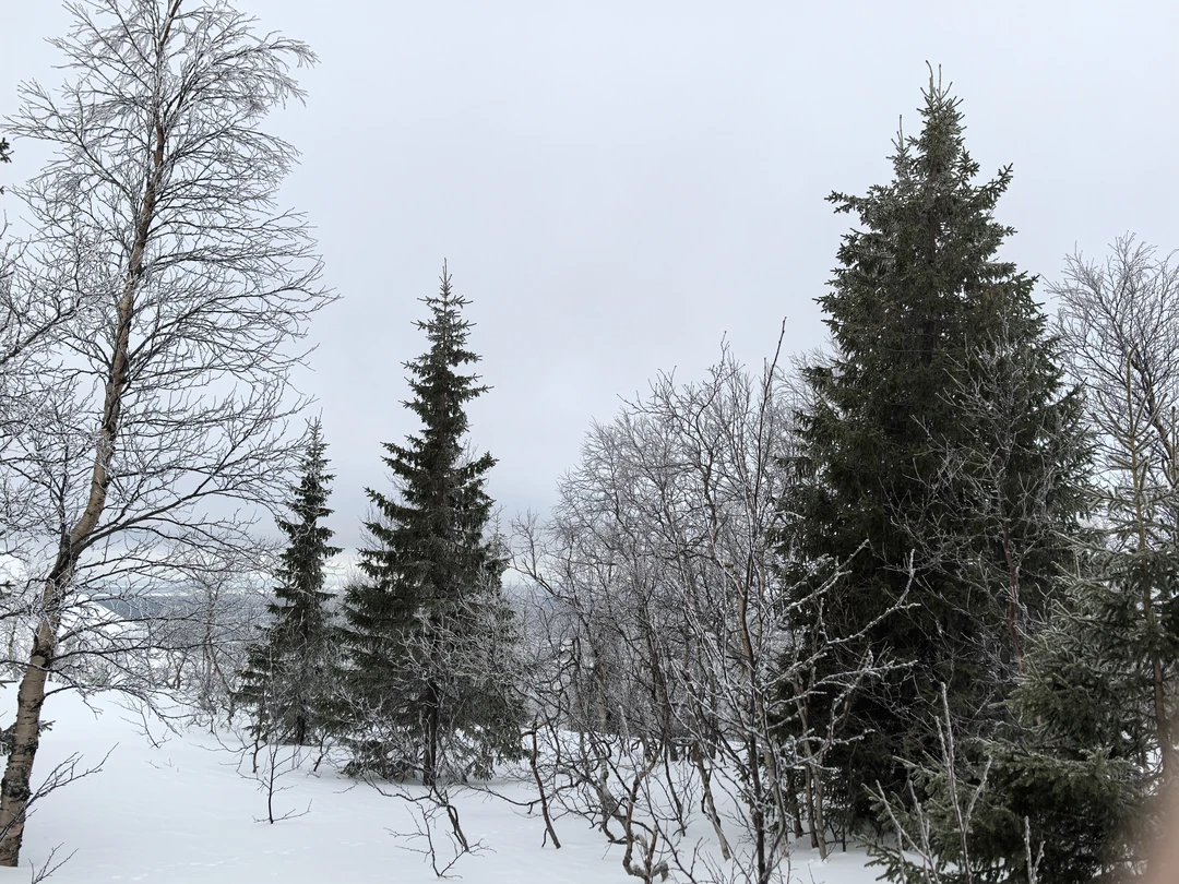 Зимние Хибины - на снегоступах (Евгений)