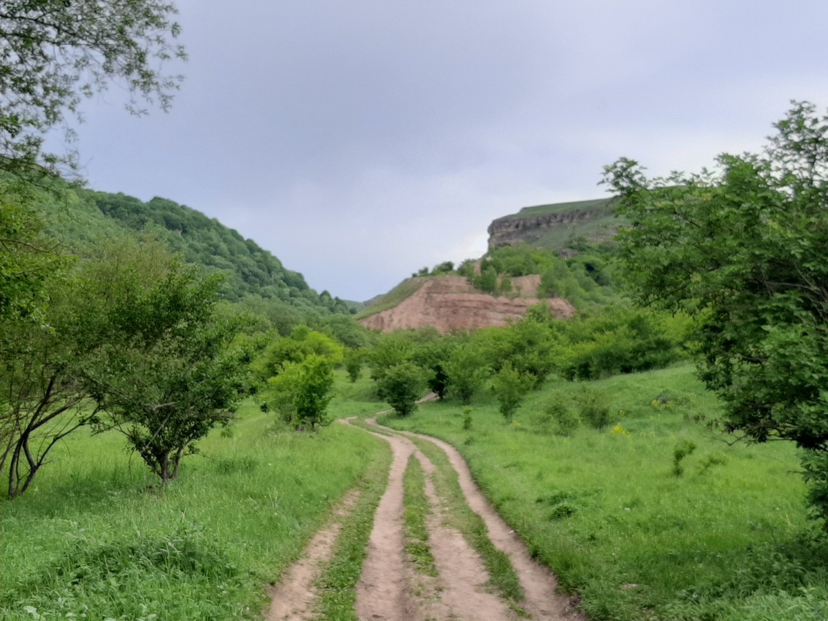 Фото Групповой треккинг-тур по ущелью реки Аликоновки к Медовым водопадам