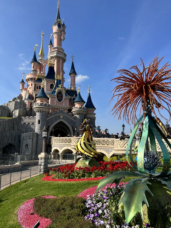 Диснейленд - волшебство без очередей