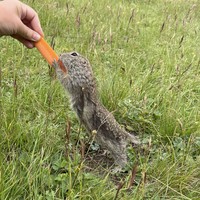 Фото отзыва 5: экскурсия "Джип-тур на урочище Джилы-Су"