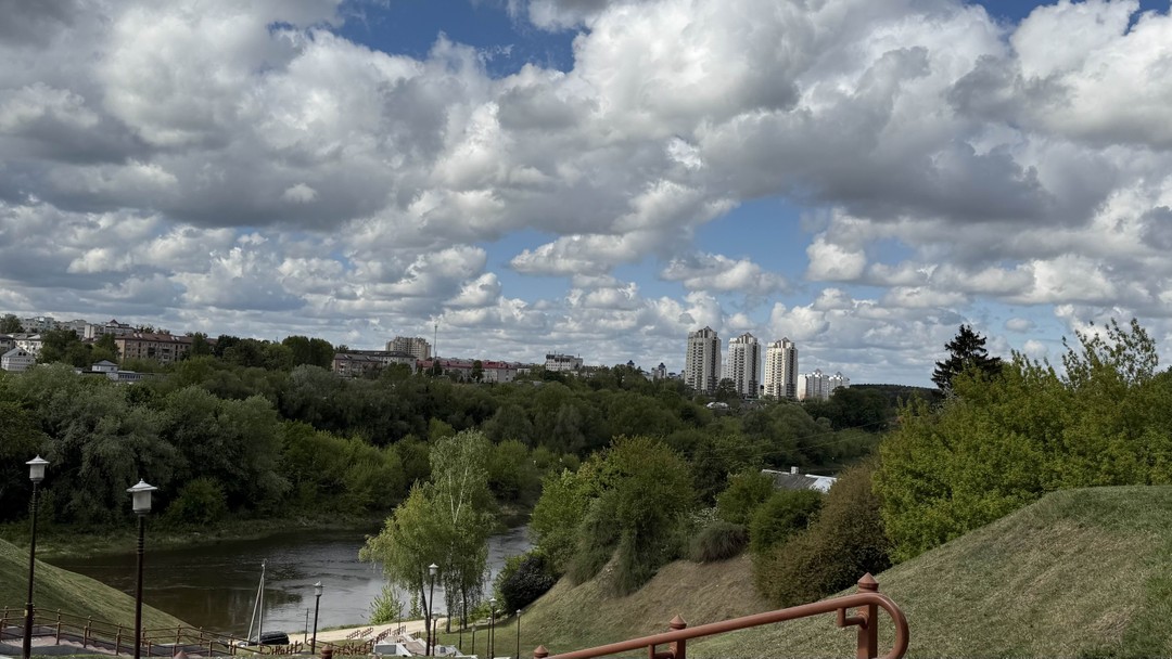 Королевский город Гродно (Т.)