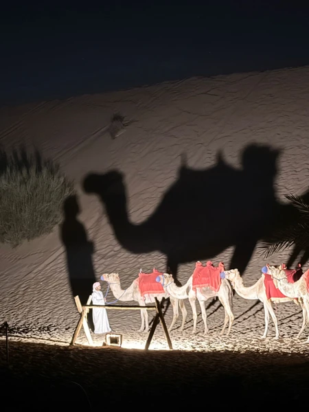 очень понравилось!