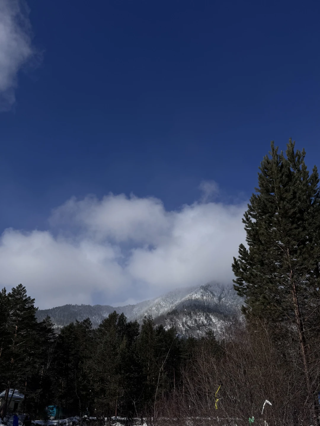 Замечательная экскурсия,огромное спасибо Марианне и Дмитрию! Куча эмоций,все подробно рассказали,показали) Очень интересно,живописная экскурсия,не думали,что зимой бывает