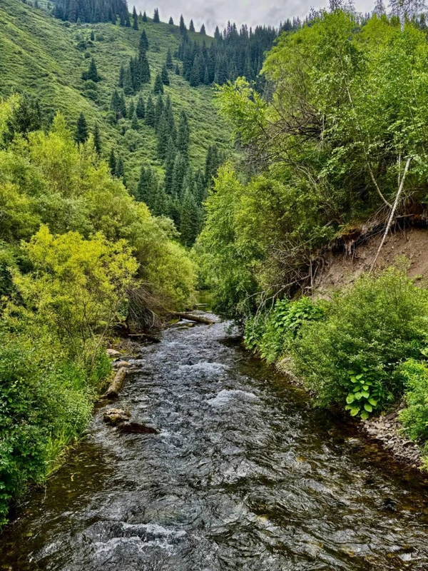 Из Алматы в Заилийский Алатау: плато Асы, Иссык и Медвежий водопад