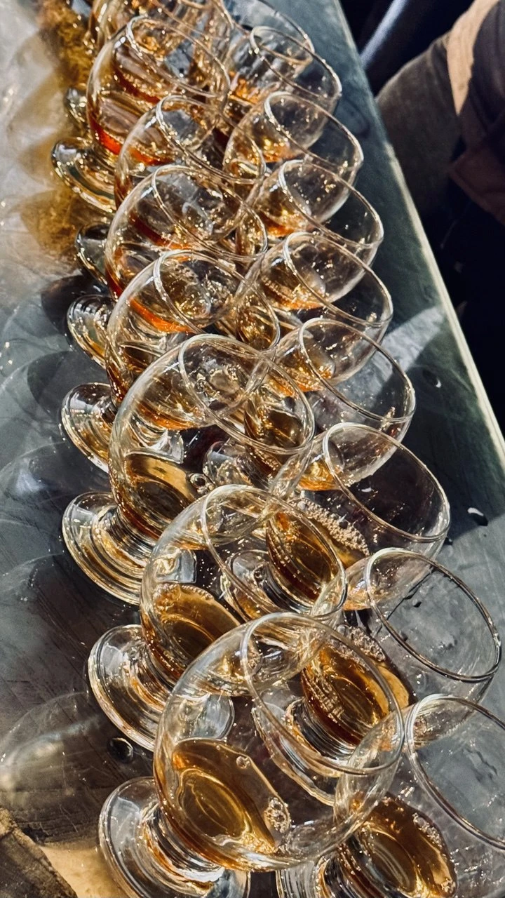 Кахетия - родина вина, чачи и красоты (Кирилл)