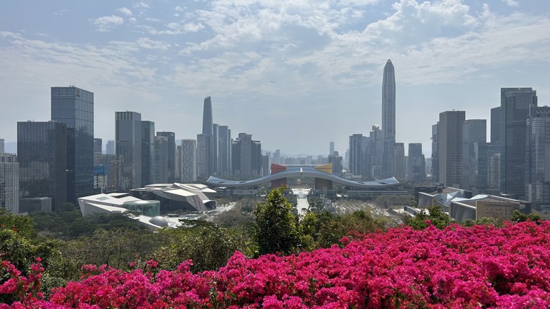 Прекрасный гид! Посмотрели весь Шеньжень за один день: парк, торговый квартал, старая рыбацкая деревня, погрузились в